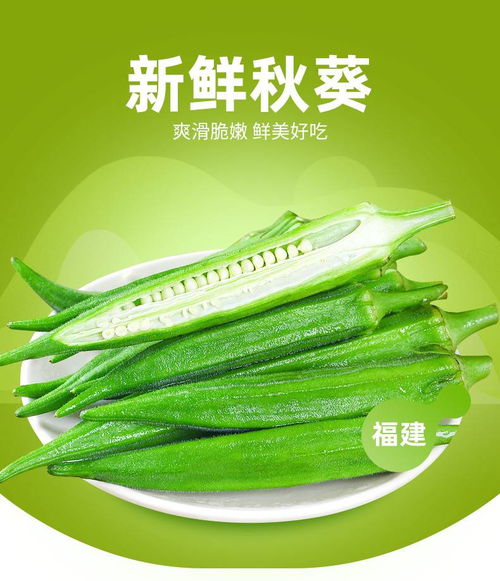新鮮現(xiàn)摘秋葵 5斤當季黃秋葵的批發(fā)與美食魅力