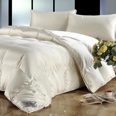 安徽鴻潤(集團)股份創立于1991年,是目前國內主要的羽絨制品