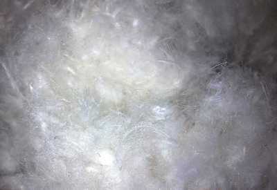 南海市水洗羽絨制品廠_世界工廠網全球企業庫