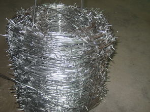 帶刺圍網報價 廠家